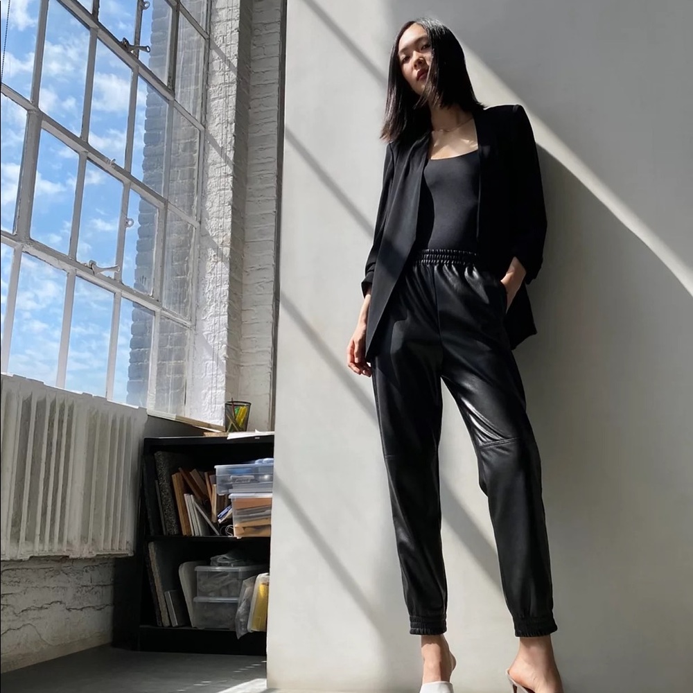 Babaton Zedel Pant, medium. (Never worn)